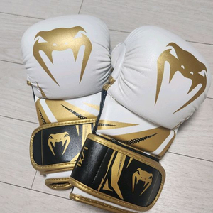 베넘 MMA 오픈핑거 글러브