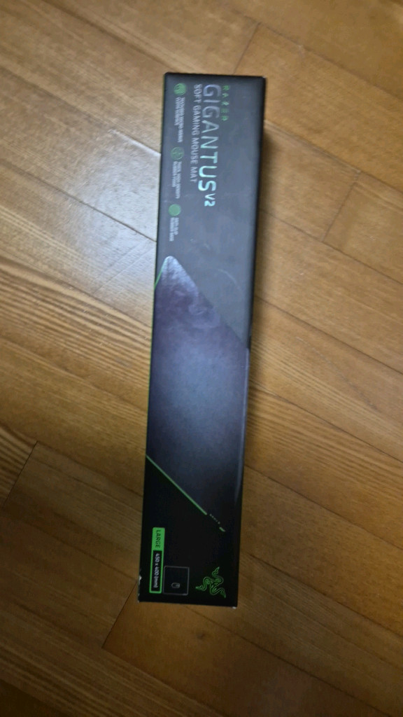 레이저 기간투스 v2 L--2