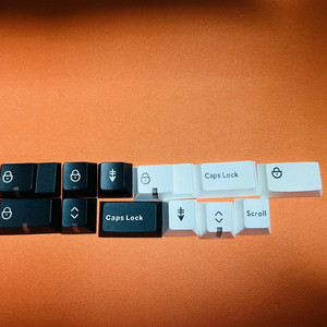 pbtfans 샤인트루 인디케이터 키캡 B/W