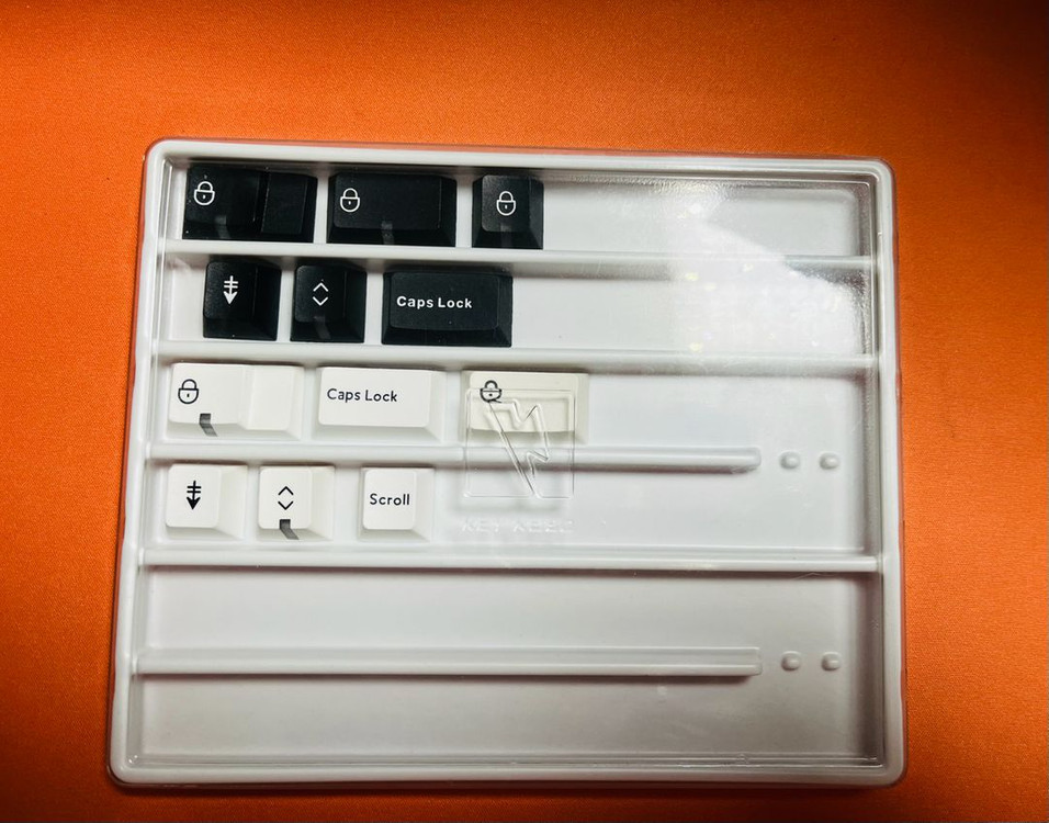 pbtfans 샤인트루 인디케이터 키캡 B/W--2