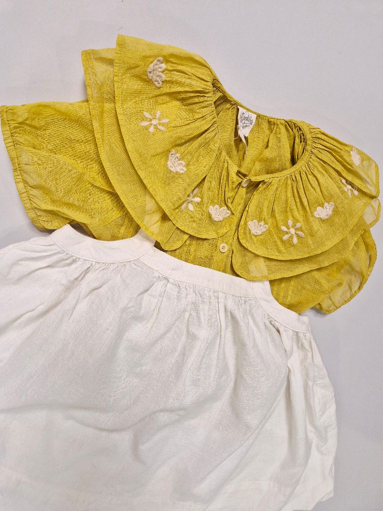 아폴리나 7-9 수어플룸 네추럴 피나 5y 일괄--2