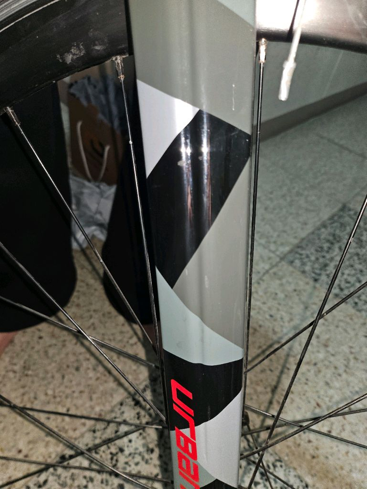 (반차) 콘스탄틴 어베인 2024--3