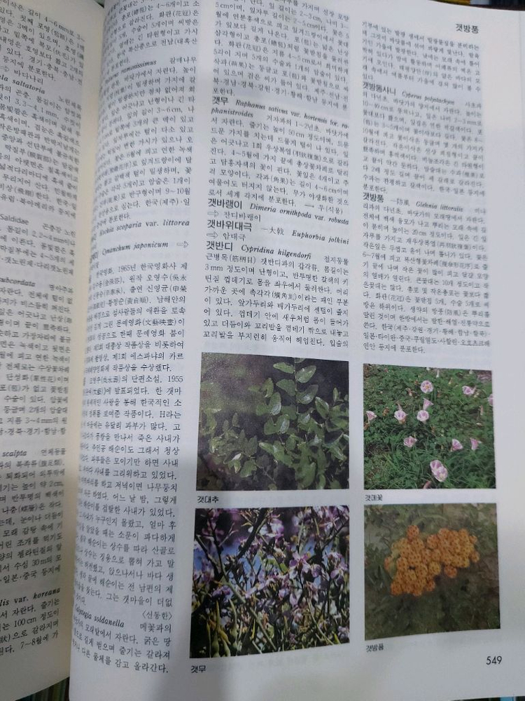 두산세계대백과사전 30권 택비포 110000--8