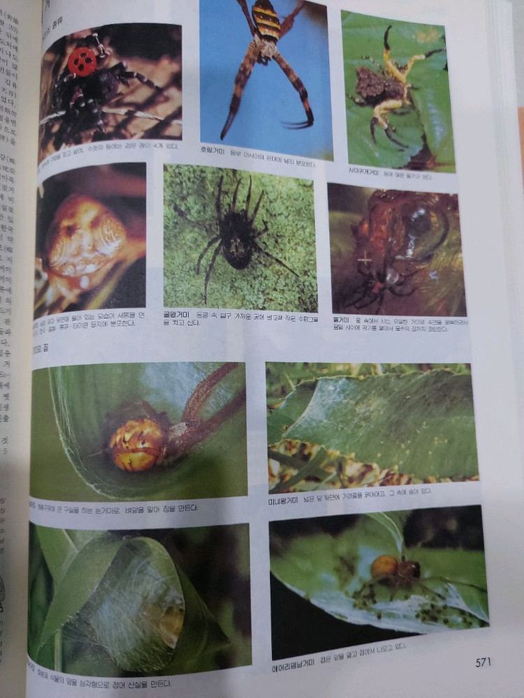 두산세계대백과사전 30권 택비포 110000--9