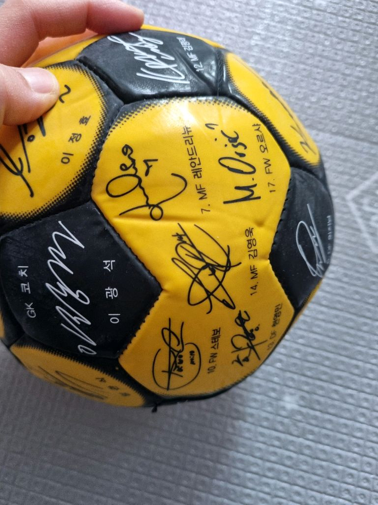 전남 드래곤즈 싸인볼 축구공--2