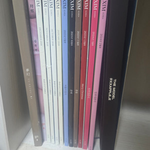 맥심 및 여성 인플루언서 화보