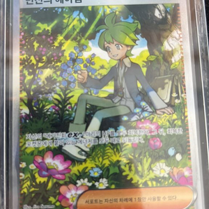 포켓몬 카드 민진의 헤아림