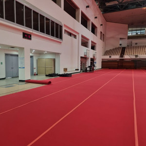 파이론텍스 카페트 (행사용 / 체육관 바닥 매트 / 레드카펫) 이미지