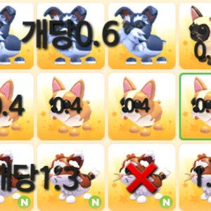 입양하세요 최저가판매 이미지