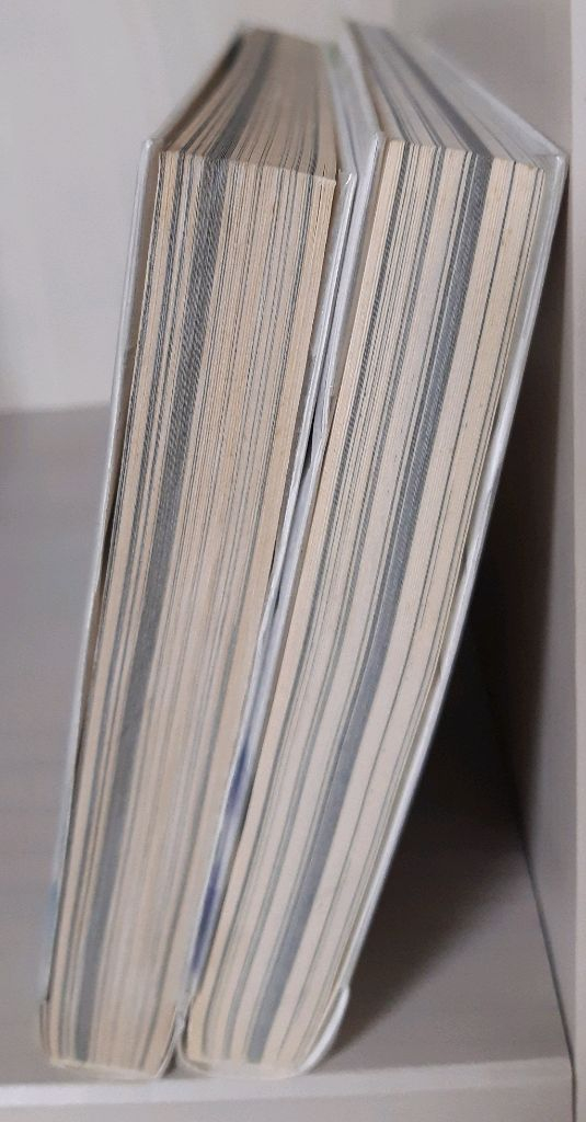 소년탐정김전일 소설 아케치사건수첩--3