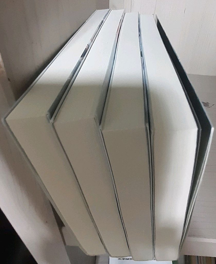 소년탐정김전일 소설 아케치사건수첩--5