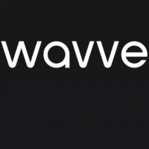 웨이브 1년 구독 하실분 2만원입니다