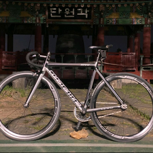 2019콘스탄틴 디스패랄 픽시 자전거 대차X(안산시 근처배달가능) 이미지