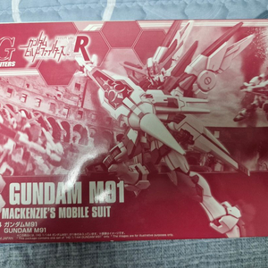 hg 건담 m91