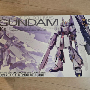 택포)MG 뉴건담 HWS ver.ka + 델피데칼