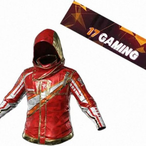 배그 코드 17gaming 글로벌 파트너 스킨 최저가 이미지