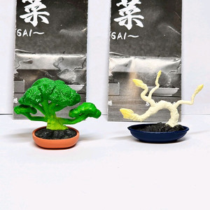 분채 채소 분재 가챠 브로콜리 흰 아스파라거스 일괄 이미지