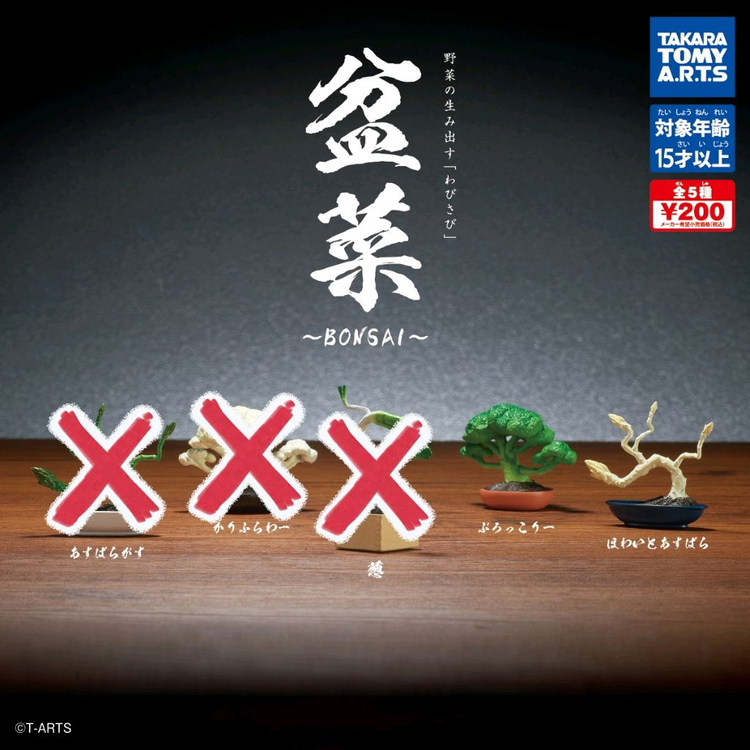 분채 채소 분재 가챠 브로콜리 흰 아스파라거스 일괄 이미지