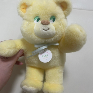 노티드 슈가베어