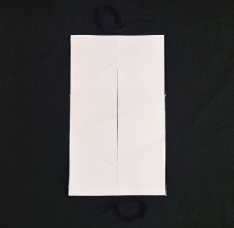 [새상품/정품]샤넬 케이스+까멜리아 SET,샤넬 가방,샤넬 쇼핑백,샤넬 지갑,샤넬 박스,샤넬 까멜리아,샤넬--2