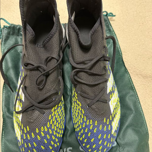 아디다스 프레데터 픗살화