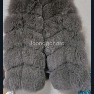 리얼폭스6단베스트