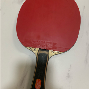 엑시옴 정영식 아이스크림. 안재현tmxi 탁구라켓