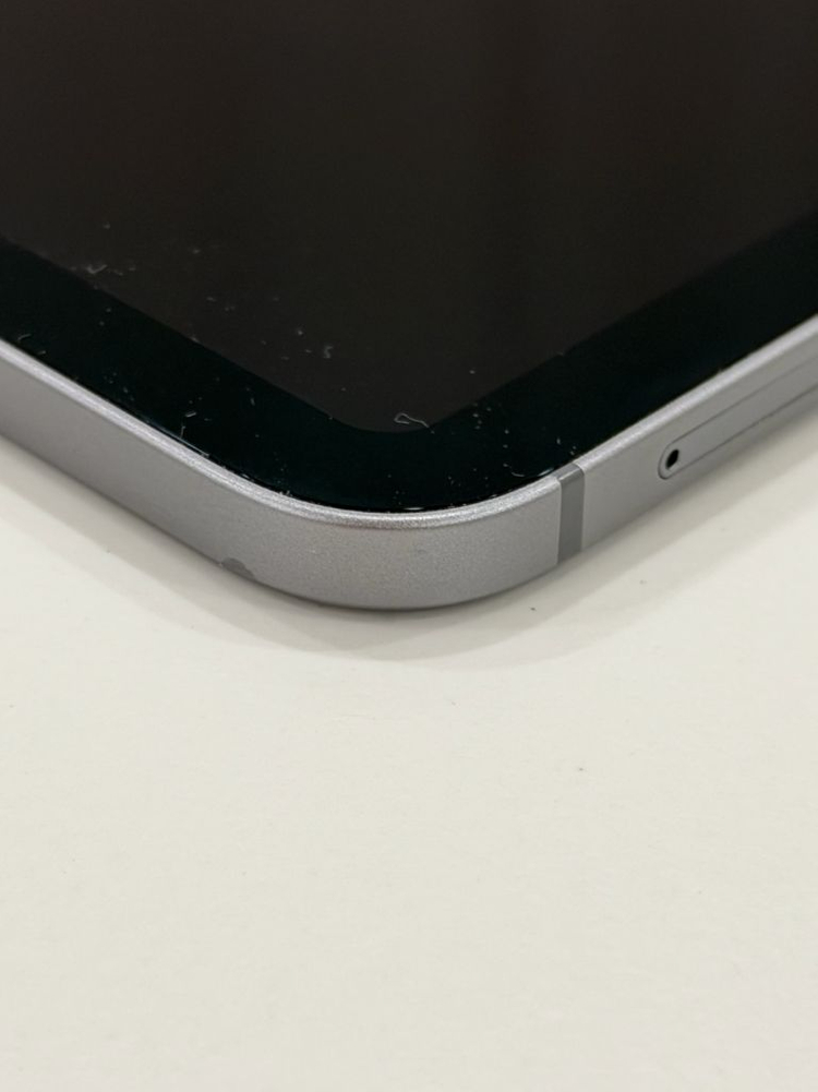 아이패드 프로 M2 11인치 셀룰러 (애플케어 플러스 포함)--3