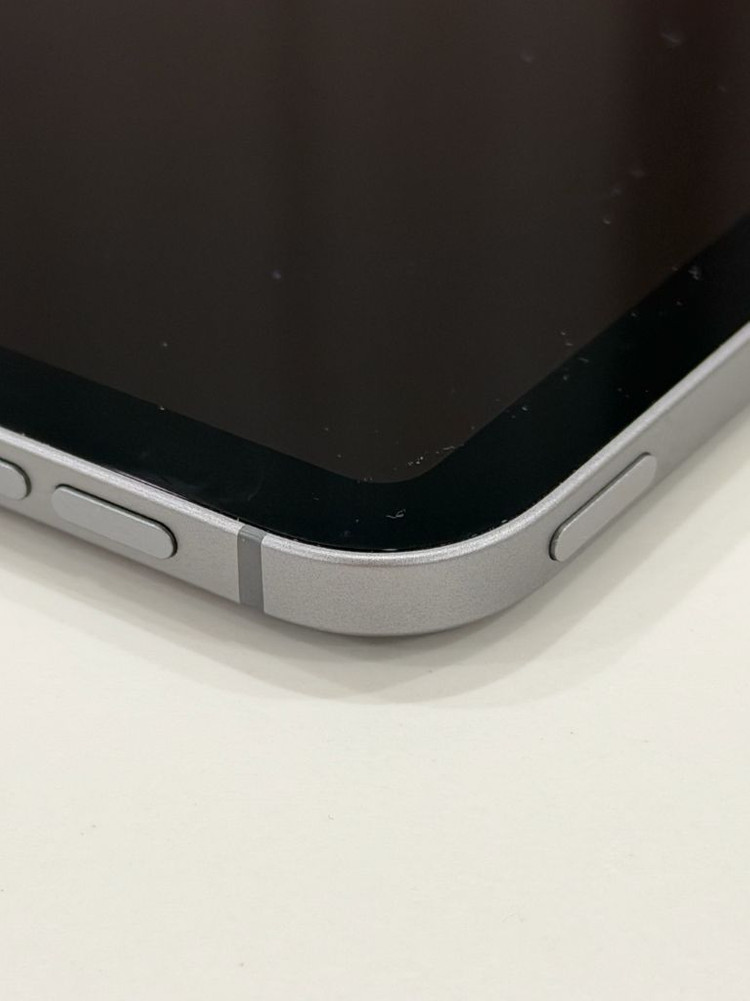 아이패드 프로 M2 11인치 셀룰러 (애플케어 플러스 포함)--4