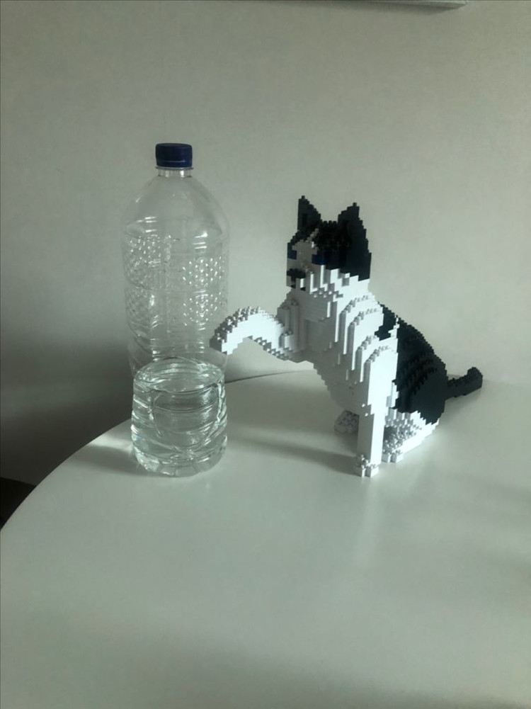 제카 고양이 프리미엄 나노블럭--1