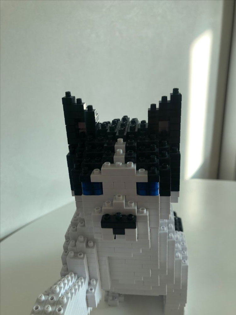 제카 고양이 프리미엄 나노블럭--4