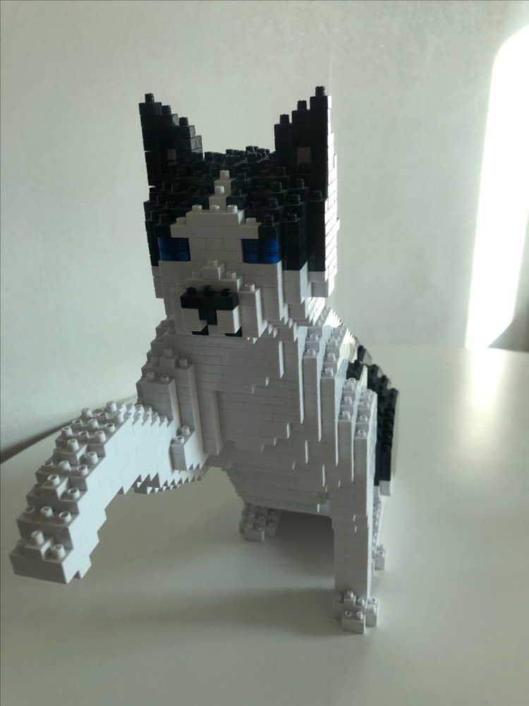 제카 고양이 프리미엄 나노블럭--7