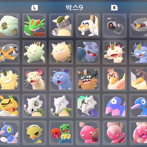 (추가금x)DLC우두로치 판매 포켓몬 레전드 ZA