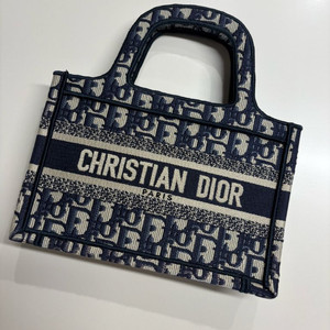 디올 오블리크 북토트 미니