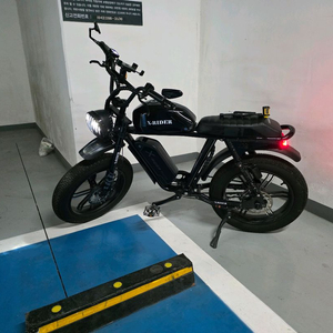 엑스라이더(전기자전거) x200s 판매합니다