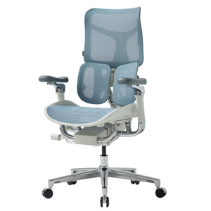 듀오백 에르고백 의자(블루 색상) 판매합니다.