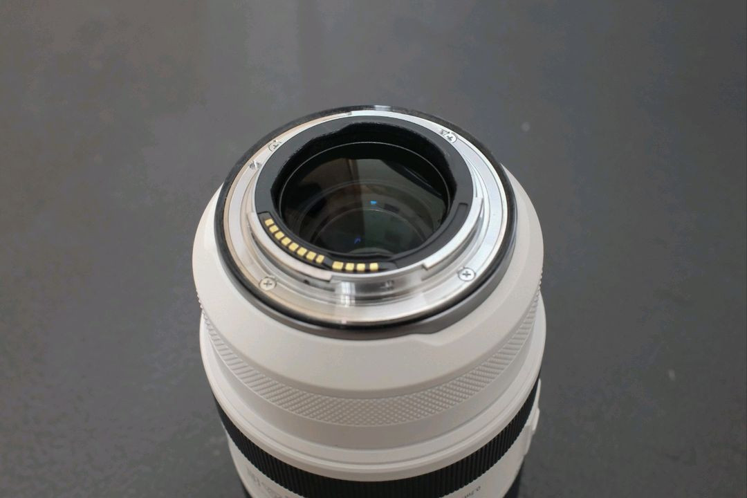 캐논 RF 70-200mm F2.8 (알아빠)--4