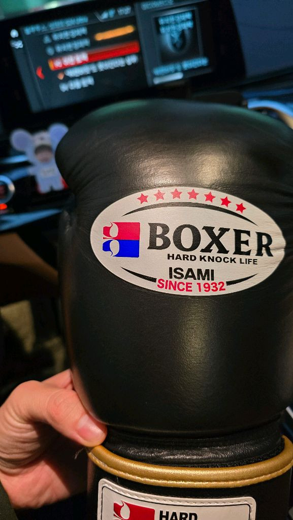 이사미 14온스 글러브 판매합니다.--2