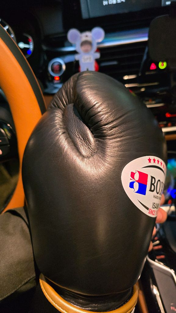 이사미 14온스 글러브 판매합니다.--3