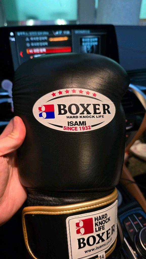 이사미 14온스 글러브 판매합니다.--5