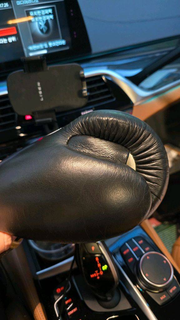 이사미 14온스 글러브 판매합니다.--7