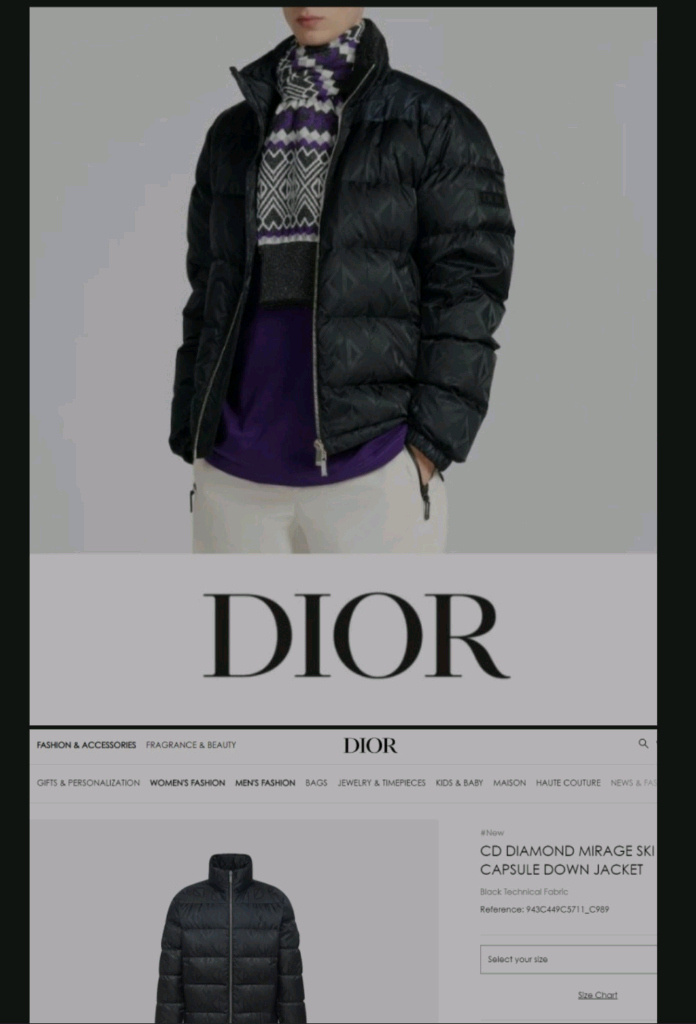 디올 CD 다이아몬드 미라지 남성 52 다운 패딩 자켓 점퍼 남자 이미지