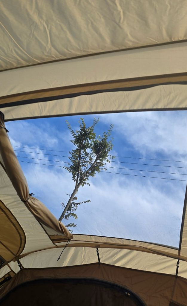 노스피크 퍼시픽오션4.0 올리브샌드 에눌가능--5