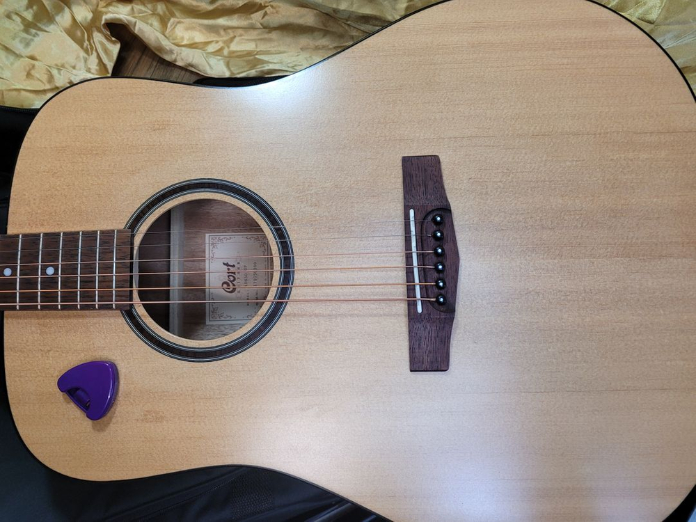 콜트 CORT 통기타 가방 접이식 보면대 조율기 국산입문가벼움가성비 이미지