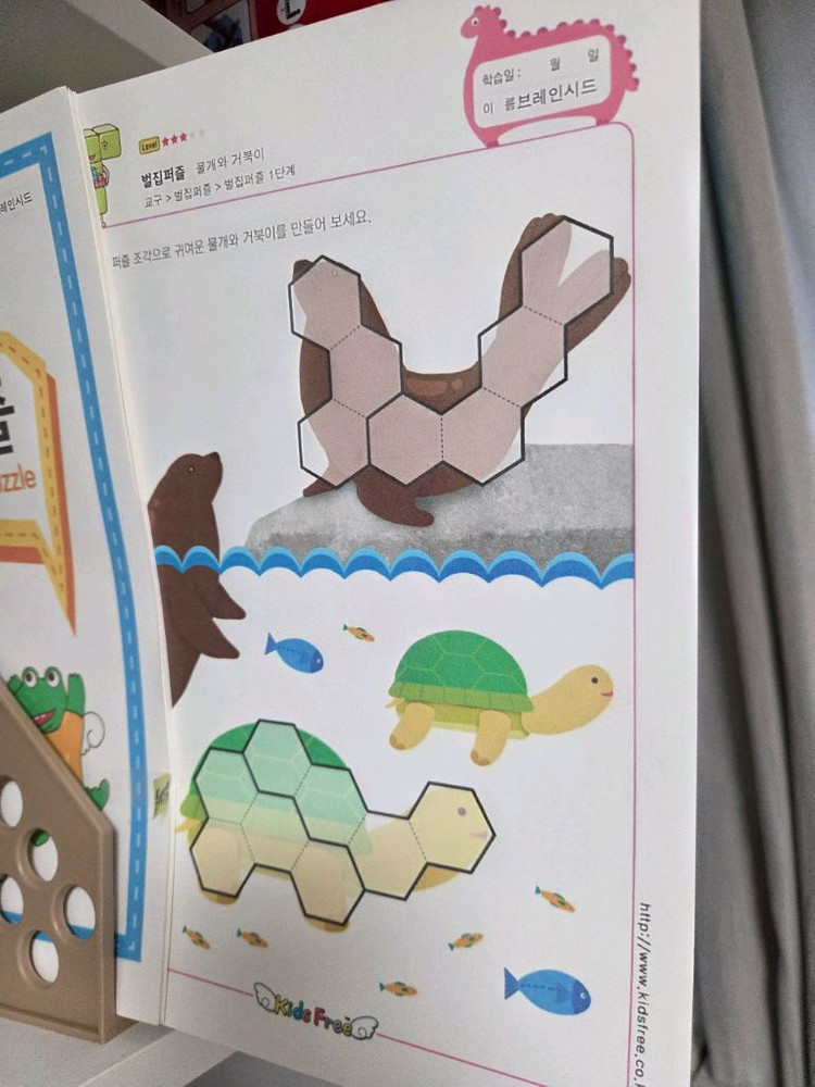 사고력 교구 교재 활동지와 교구 (펜토미노 육각퍼즐 소마큐브 등등)--2