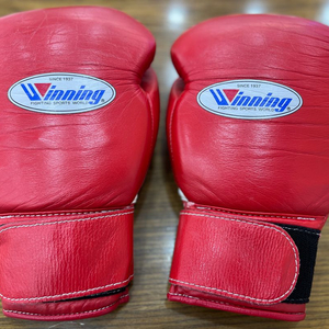 위닝복싱글러브 10온스 레드 이미지