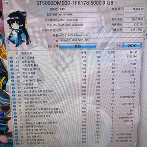 시게이트 5tb hdd