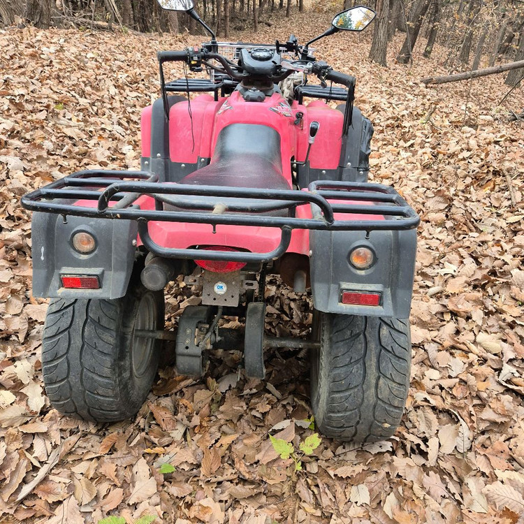 atv 사발이 올코트125 이미지