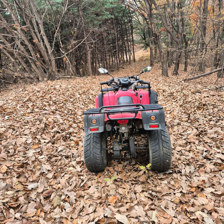 atv 사발이 올코트125 이미지