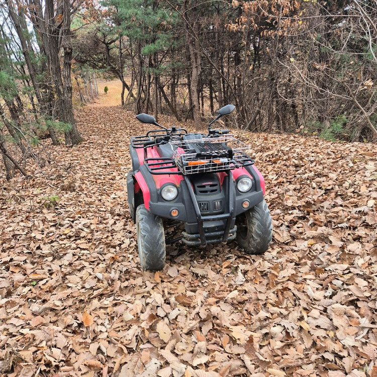 atv 사발이 올코트125 이미지